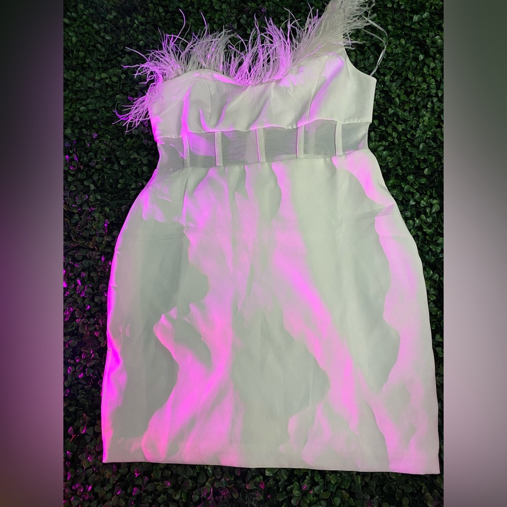 Fashion Nova dress